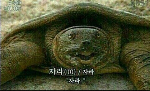 프로필 아이콘